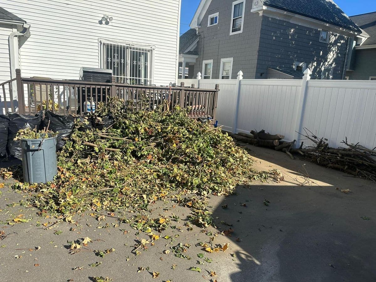 Yard Waste & Tree Removal in Rhode Island